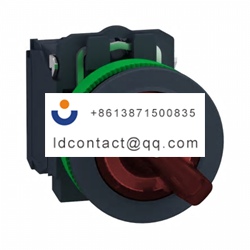 XB5FK124B5 Schneider Electric 2 pos