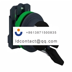 XB5FG61 Schneider Electric 2 positi