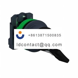 XB5FG41 Schneider Electric 2 positi
