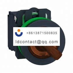 XB5FK125G5 Schneider Electric 2 pos
