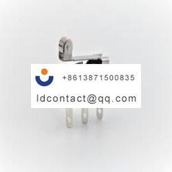 SW2 10H1 05G0 Z Zippy Lever Micro S