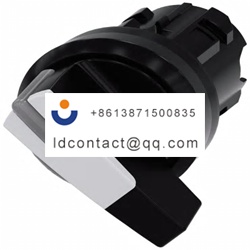 3SU1002 2CF60 0AA0 Siemens 2 pole i