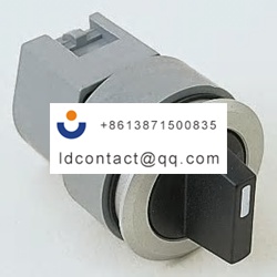 704 411 018 EAO 2 position switch h