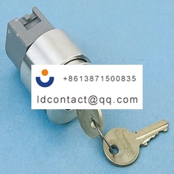 704 123 018 EAO 2 position key swit