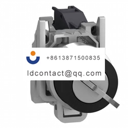 XB4BG41 Schneider Electric 2 positi