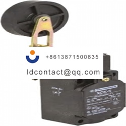 XCKS149 Telemecanique Sensors lever