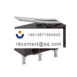 DG13 B1LA ZF Rocker Micro Switch  S