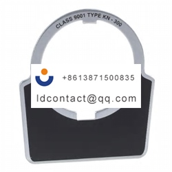 9001KN300 Schneider Electric Button