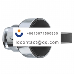 ZB4BJ4 Schneider Electric 2 positio