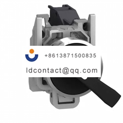 XB4BJ21 Schneider Electric 2 positi