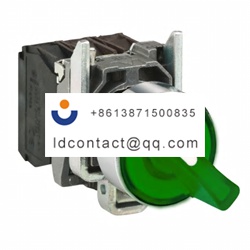 XB4BK123B5 Schneider Electric 2 pos