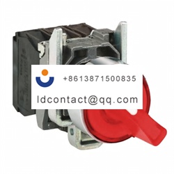 XB4BK124M5 Schneider Electric 2 pos