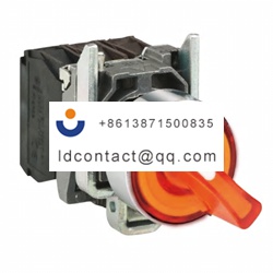 XB4BK125M5 Schneider Electric 2 pos