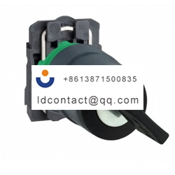 XB5AG21 Schneider Electric 2 positi