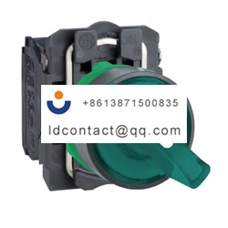 XB5AK123B5 Schneider Electric 2 pos