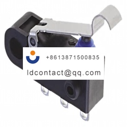 D2HW C231H Omron analog roller leve