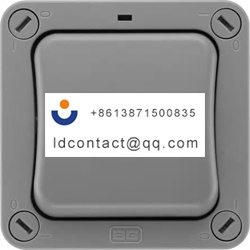 WP30 02 BG Electrical Toggle Light 