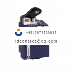 XCKP2121G11 Telemecanique Sensors p