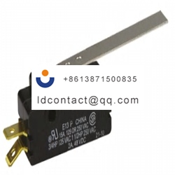 E13 50H ZF Rocker Microswitch  Sing