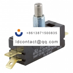 E13 00M ZF Button Microswitch  Sing