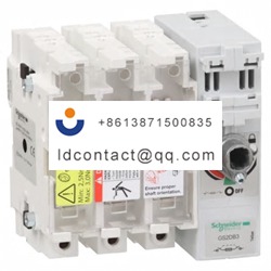 GS2GB4 Schneider Electric Fuse Disc