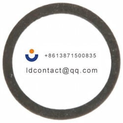 700110 Otto O ring  for P9 series