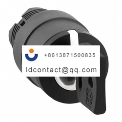 ZB5AG1 Schneider Electric 455 key s