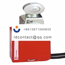 XCSM3916L1 Telemecanique Sensors ro