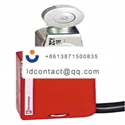 XCSM4116L1 Telemecanique Sensors Ro