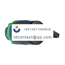 ZB5AG2C Schneider Electric key swit