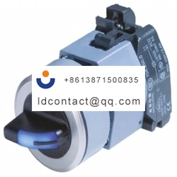 704 411 018 10 EAO 2 position switc