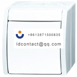 2621 W 54 Busch Jaeger   ABB Button