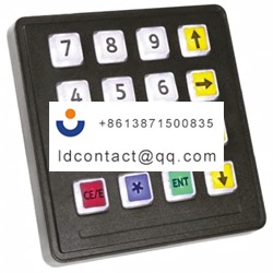 7207 161W202 Storm 16 key mini keyb