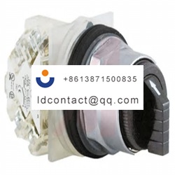 9001KS11BH1 Schneider Electric 2 po