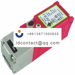 222001 IDEM Safety Door Interlock S