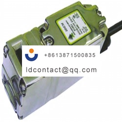 204019 IDEM safety gate switch key 