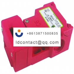 200001 IDEM safety gate switch key 