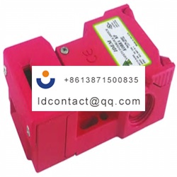 200007 IDEM safety gate switch key 