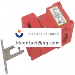 200013F IDEM safety gate switch key