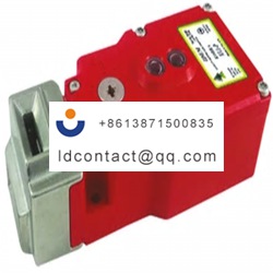221304 IDEM Electromagnetic Safety 
