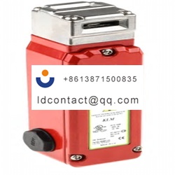 202001 SS IDEM Electromagnetic Safe