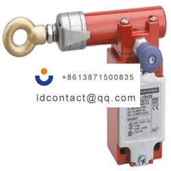 XY2CJL15H29 Telemecanique Sensors R