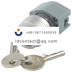 704 121 0 EAO 2 position key switch