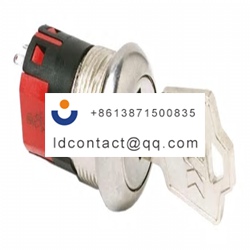 Y201132C203NQ C   K 2 position key 