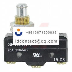 GPTBNH11 ZF Button Microswitch  SP 