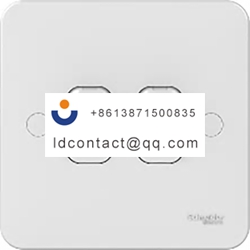 GGBL1022S Schneider Electric Toggle