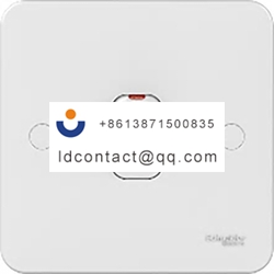 GGBL2010 Schneider Electric Toggle 