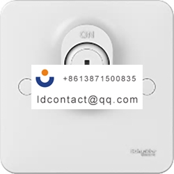 GGBL2010LS Schneider Electric Key O