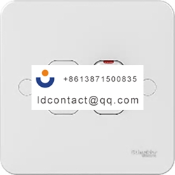 GGBL5010 Schneider Electric Switche