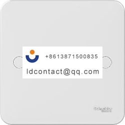 GGBL8010S Schneider Electric blank 
